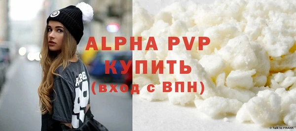 стафф Алзамай