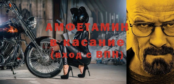 стафф Алзамай