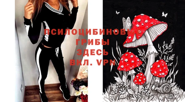 стафф Алзамай