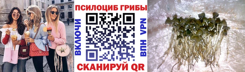 Галлюциногенные грибы ЛСД  Бахчисарай 